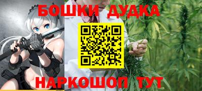индика Гагарин