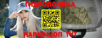 spice Волжск