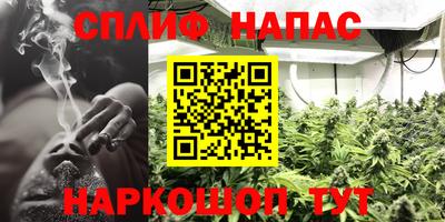 индика Гагарин